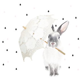 Dekorácia na stenu DEKORNIK - králik Harry v daždi